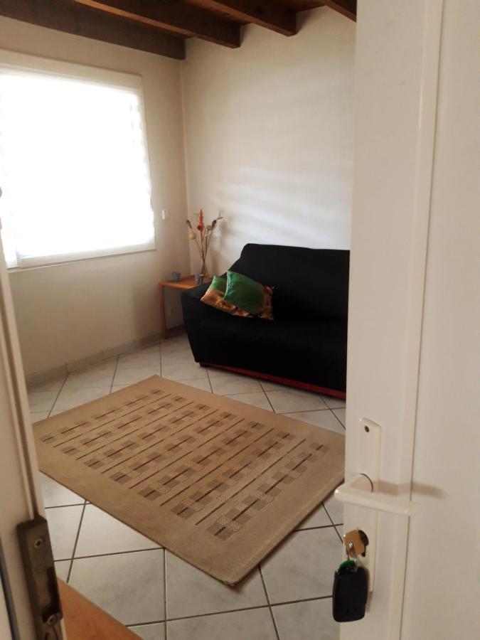 Duplex Le Cocon Appartement Pins-Justaret Buitenkant foto